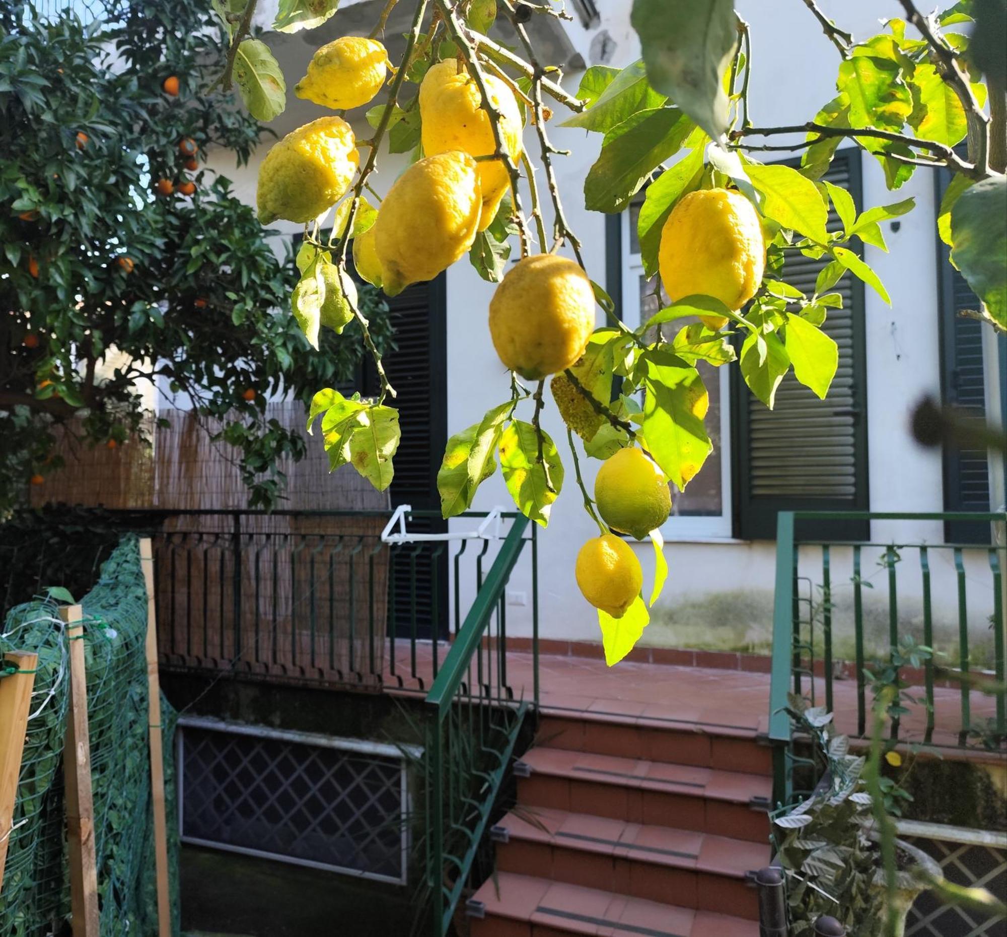 Beatrice Room Bed&Breakfast Sant'Agnello Extérieur photo